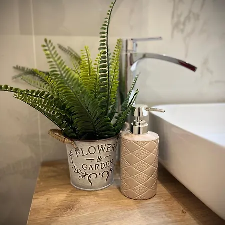 In The Historic Center *