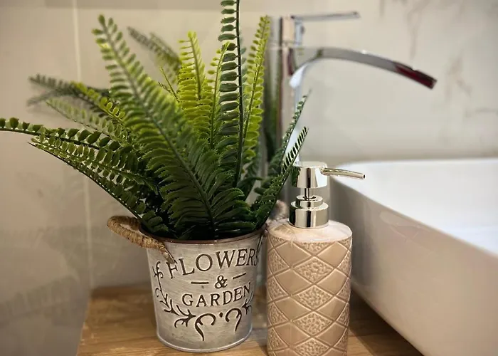 In The Historic Center *